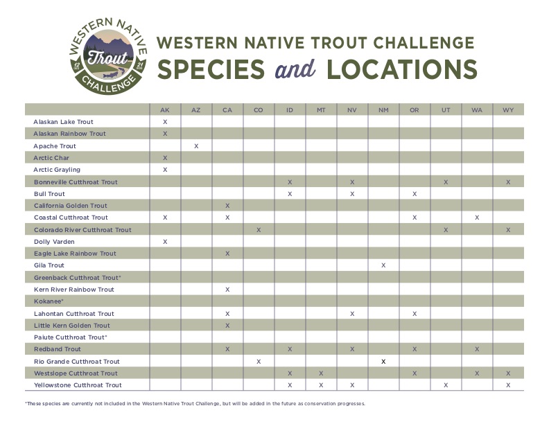 Home Western Native Trout Challenge