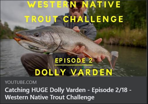 Media Western Native Trout Challenge